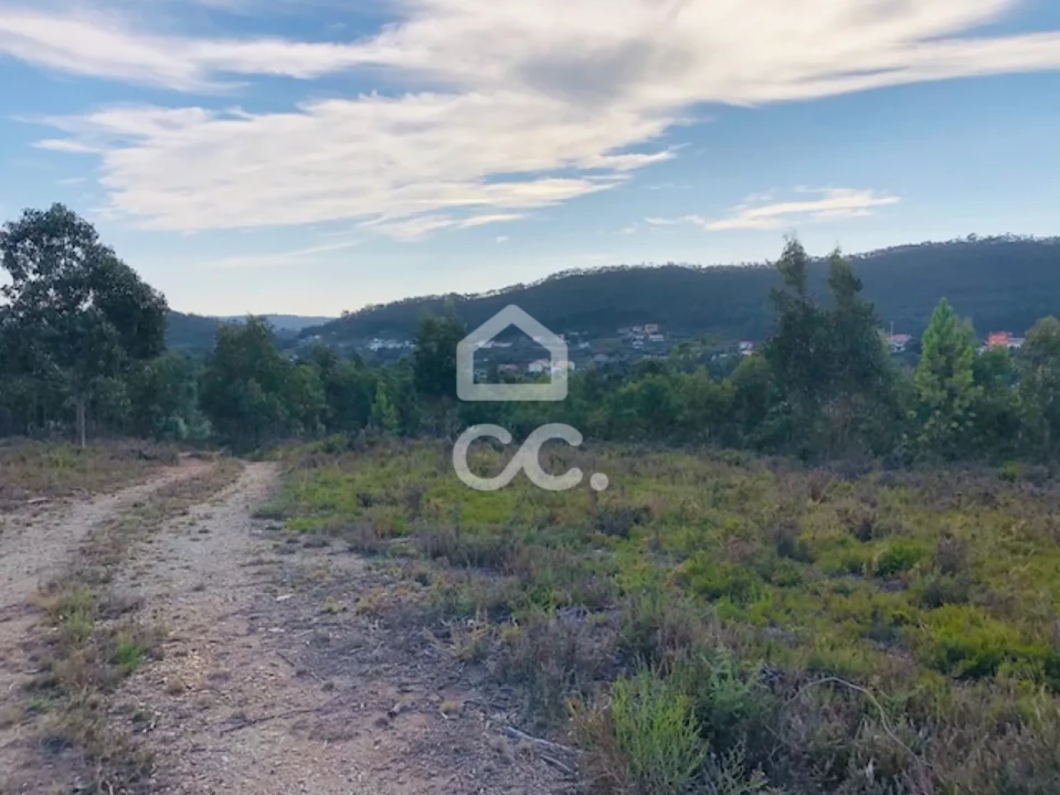 Terreno para Venda em Melres e Medas Foto 12