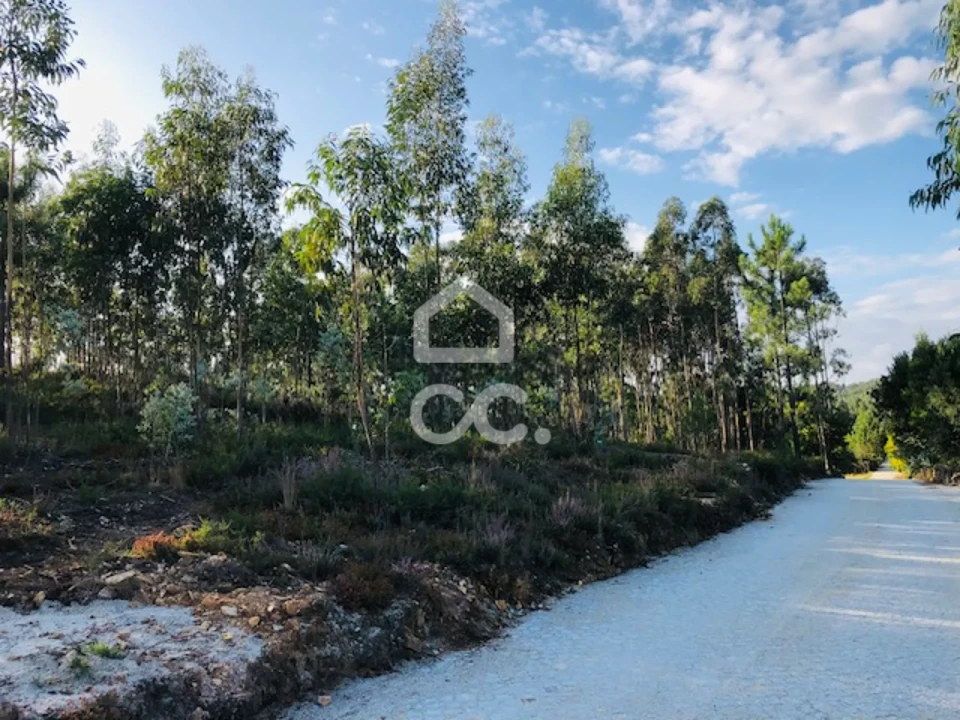 Terreno para Venda em Melres e Medas Foto 6