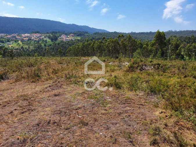 Terreno para Venda em Melres e Medas Foto 2