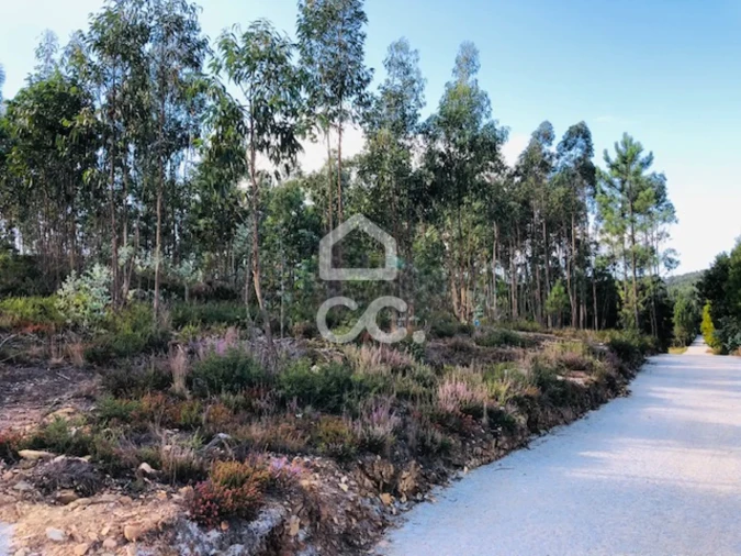 Terreno para Venda em Melres e Medas Foto 8