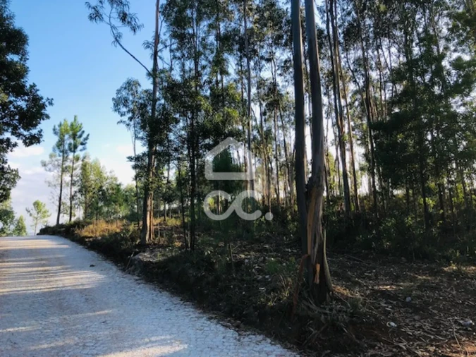 Terreno para Venda em Melres e Medas Foto 4