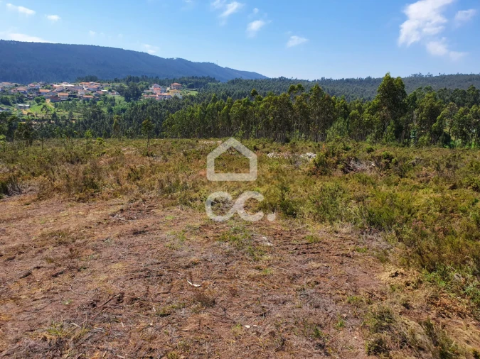 Terreno para Venda em Melres e Medas Foto 19