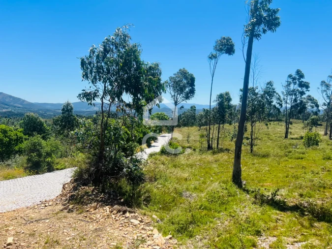 Terreno para Venda em Melres e Medas Foto 22