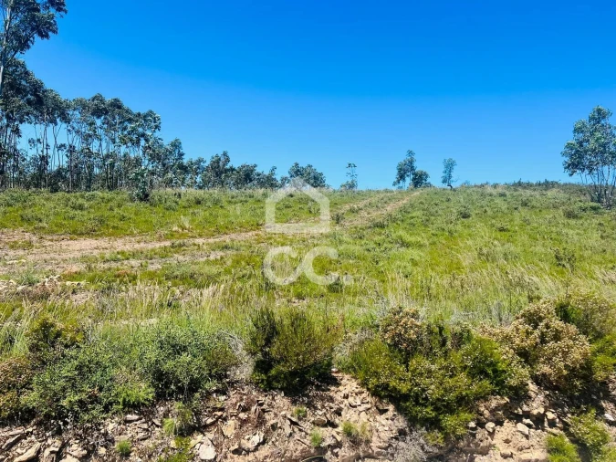 Terreno para Venda em Melres e Medas Foto 20