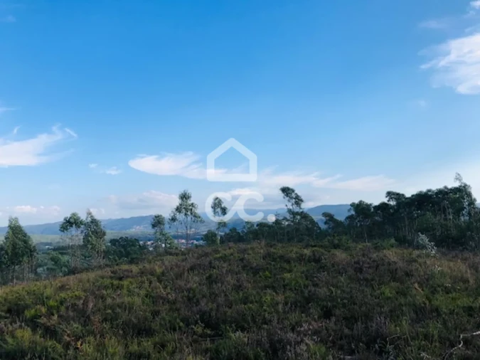 Terreno para Venda em Melres e Medas Foto 15