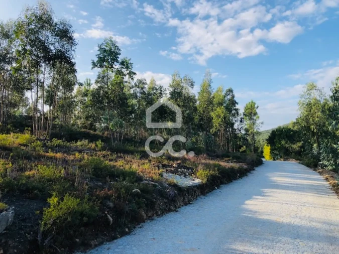 Terreno para Venda em Melres e Medas Foto 7