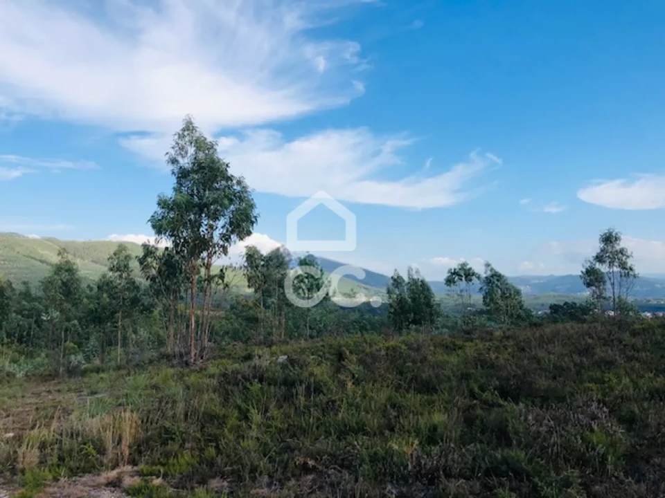 Terreno para Venda em Melres e Medas Foto 14