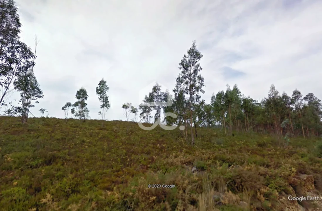 Terreno para Venda em Melres e Medas Foto 17
