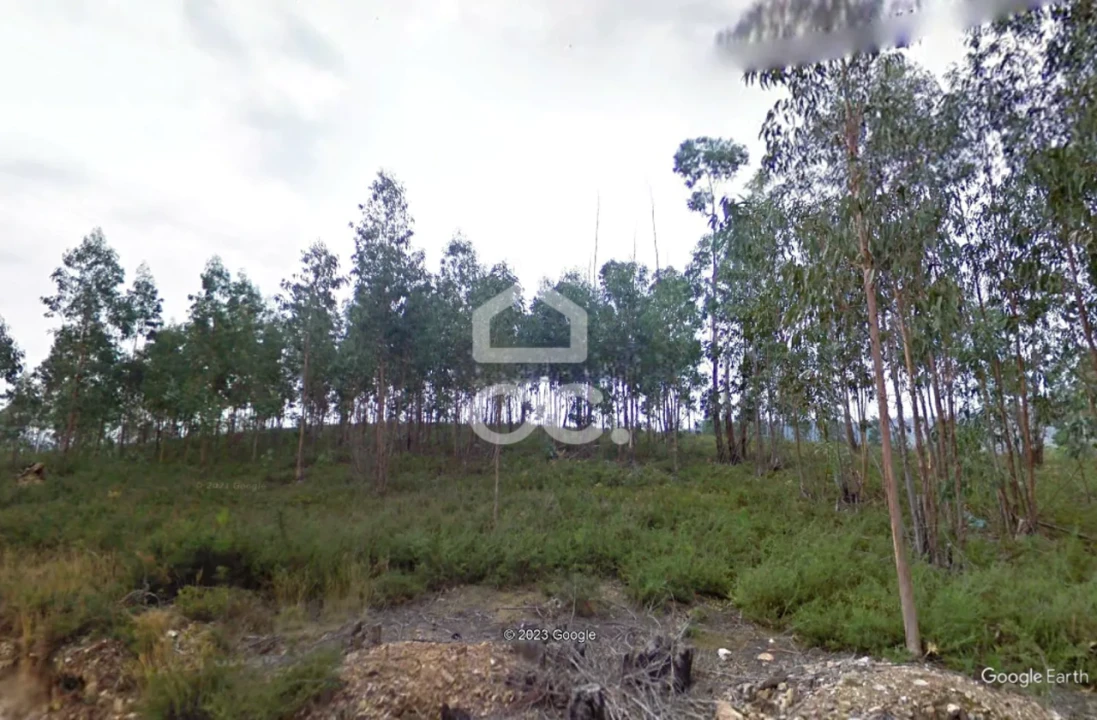 Terreno para Venda em Melres e Medas Foto 16