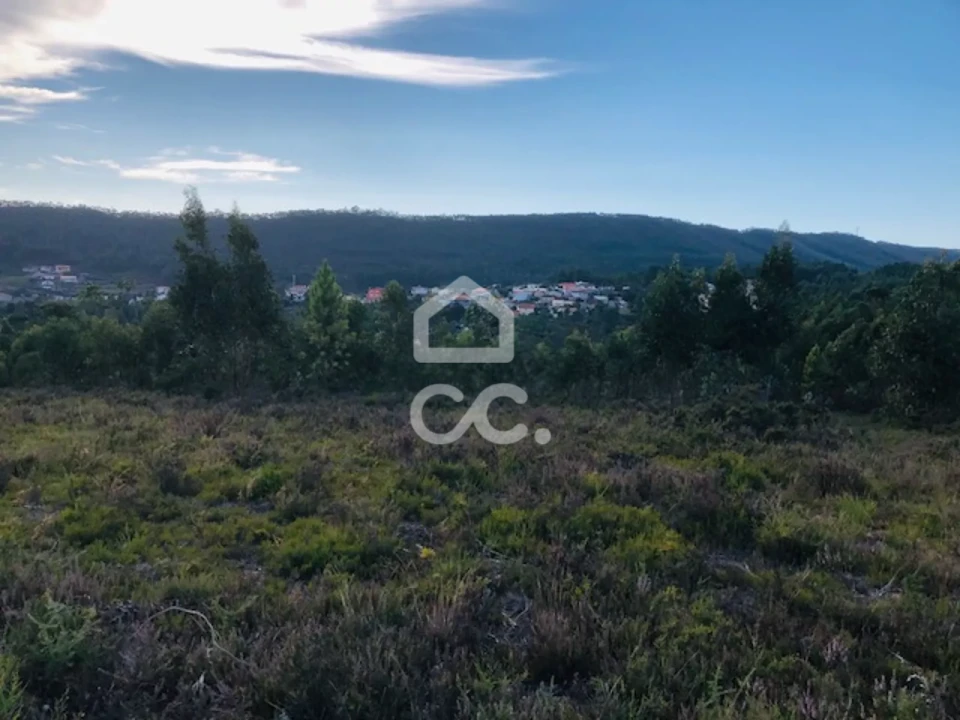 Terreno para Venda em Melres e Medas Foto 11