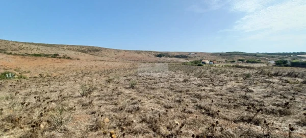 Terreno para Venda em Vila do Bispo e Raposeira