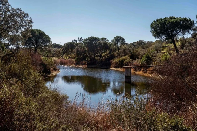 Quinta T6 para Venda em São Martinho Foto 8