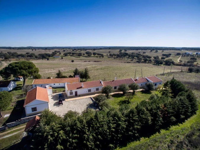 Quinta T6 para Venda em São Martinho Foto 6