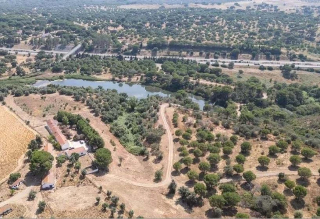 Quinta T6 para Venda em São Martinho Foto 1