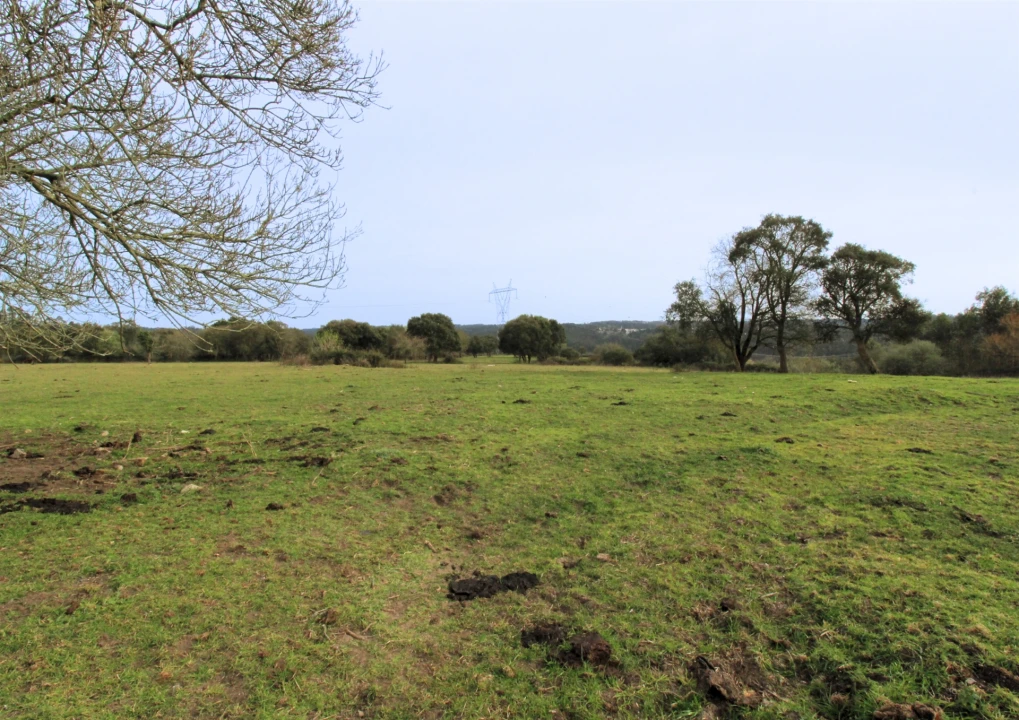 Quinta T0 para Venda em Souto da Carpalhosa e Ortigosa Foto 4