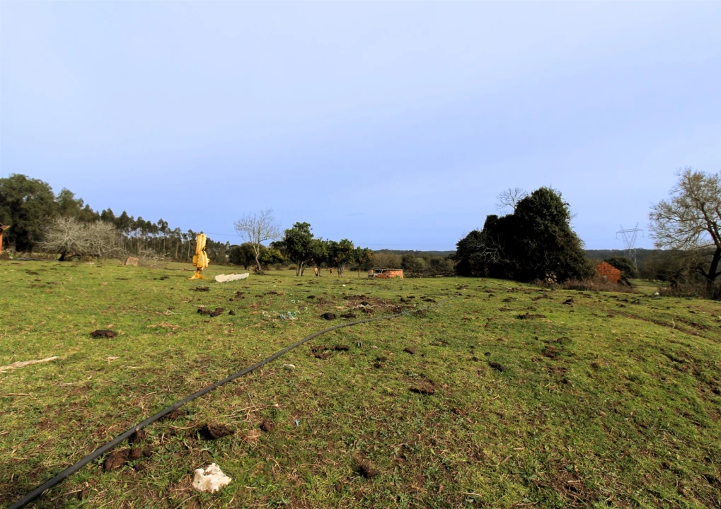 Quinta T0 para Venda em Souto da Carpalhosa e Ortigosa Foto 2