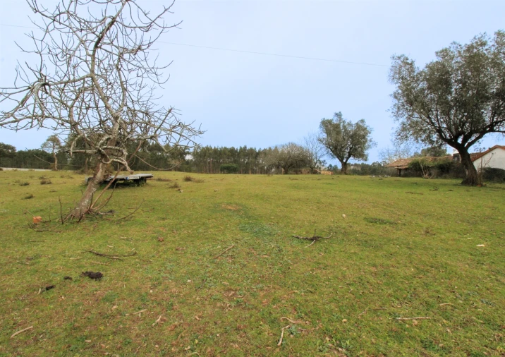 Quinta T0 para Venda em Souto da Carpalhosa e Ortigosa Foto 6