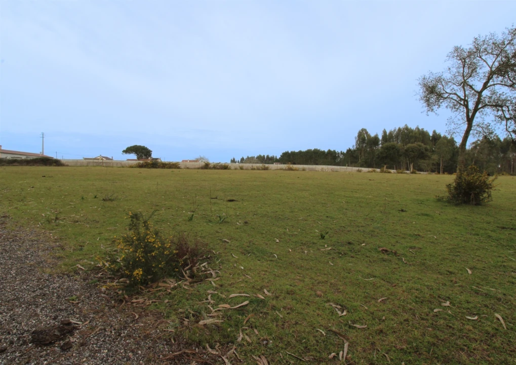 Quinta T0 para Venda em Souto da Carpalhosa e Ortigosa Foto 5
