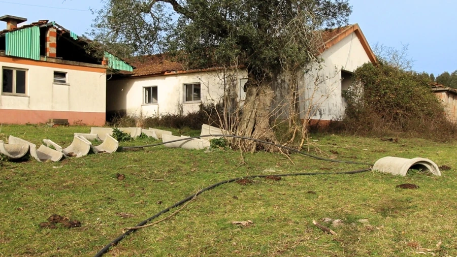 Quinta T0 para Venda em Souto da Carpalhosa e Ortigosa