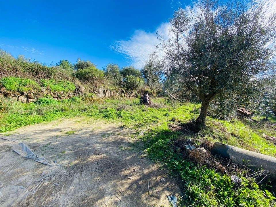 Quinta T3 para Venda em Lardosa Foto 24