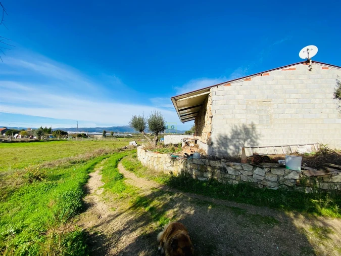 Quinta T3 para Venda em Lardosa Foto 26