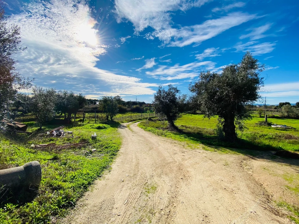 Quinta T3 para Venda em Lardosa Foto 25