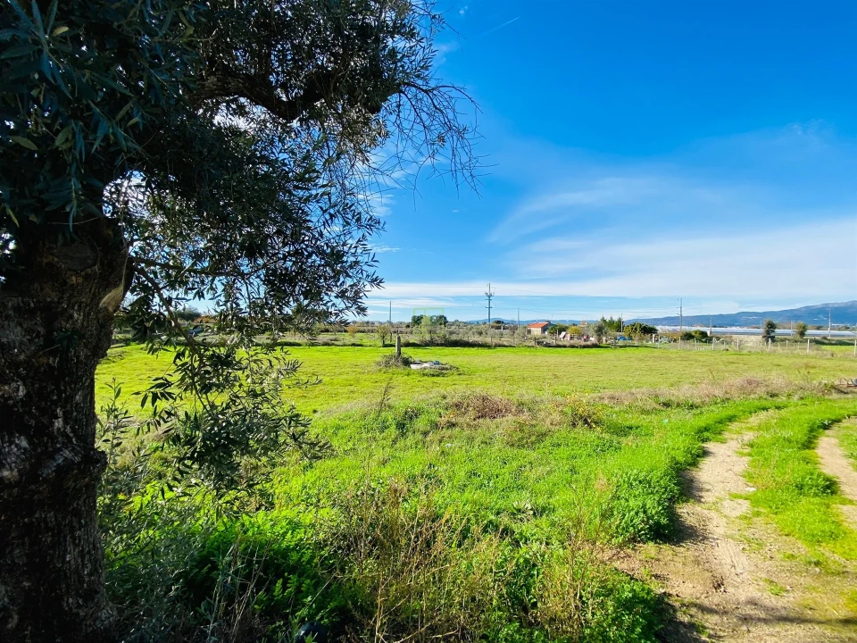 Quinta T3 para Venda em Lardosa Foto 23