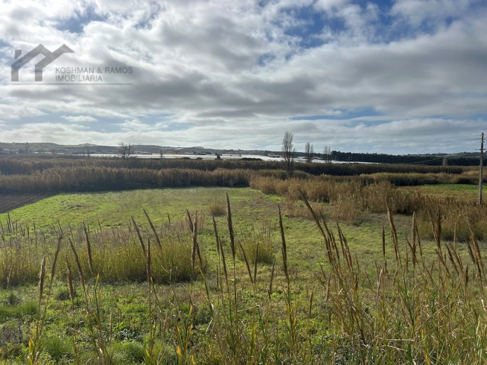 Terreno Agricola ou Rústico para Venda em A dos Cunhados e Maceira Foto 16