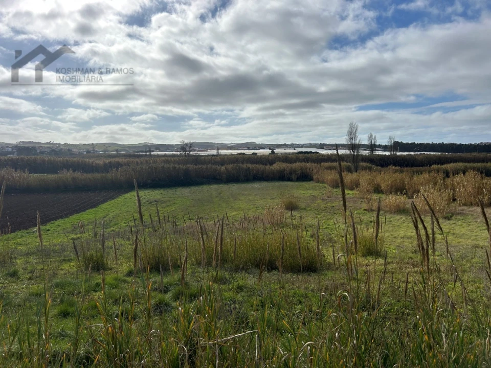 Terreno Agricola ou Rústico para Venda em A dos Cunhados e Maceira Foto 17