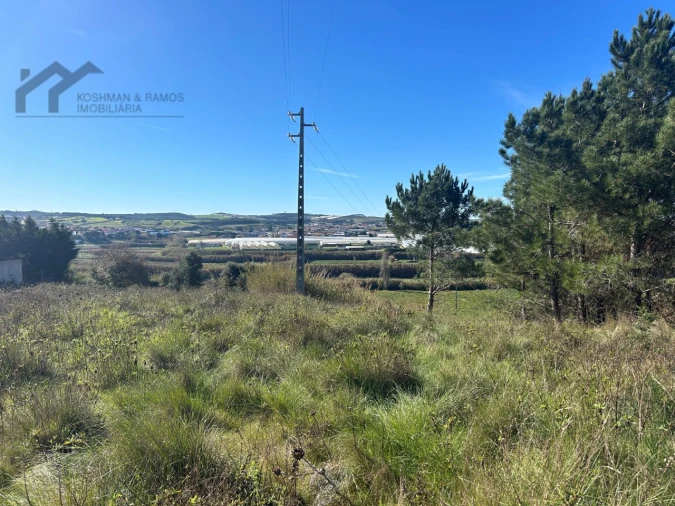 Terreno Agricola ou Rústico para Venda em A dos Cunhados e Maceira Foto 8