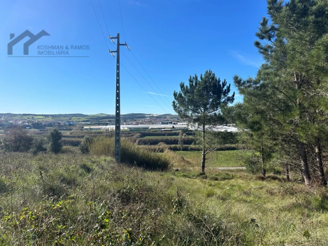 Terreno Agricola ou Rústico para Venda em A dos Cunhados e Maceira Foto 11