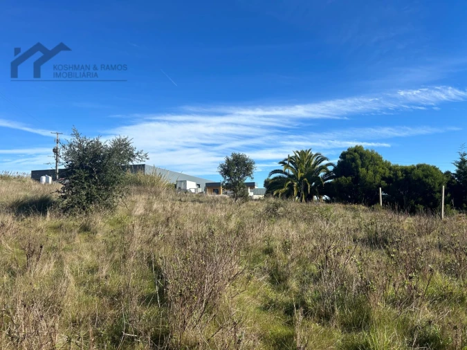 Terreno Agricola ou Rústico para Venda em A dos Cunhados e Maceira Foto 13