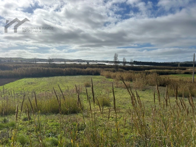 Terreno Agricola ou Rústico para Venda em A dos Cunhados e Maceira Foto 16