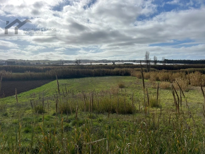 Terreno Agricola ou Rústico para Venda em A dos Cunhados e Maceira Foto 17