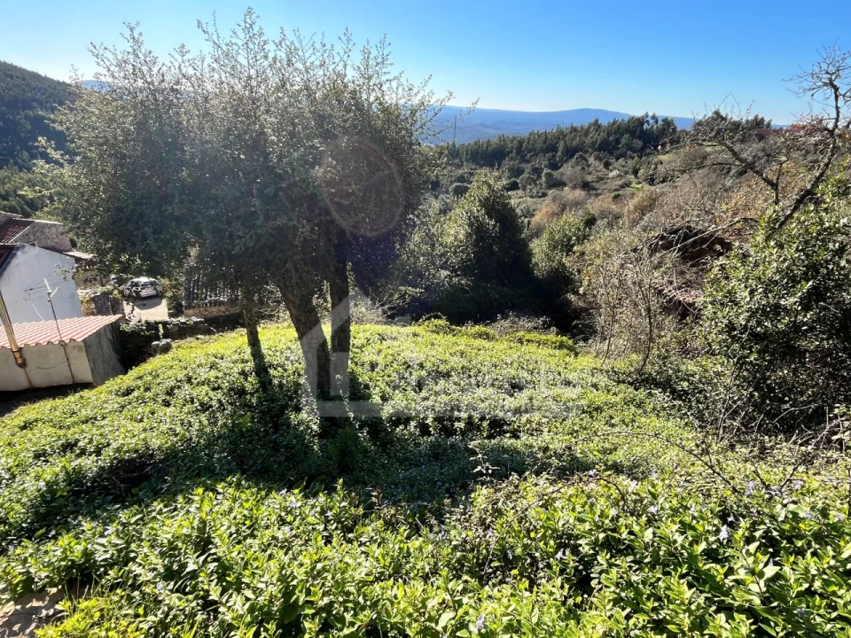 Moradia T2 para Venda em Cumeeira Foto 15