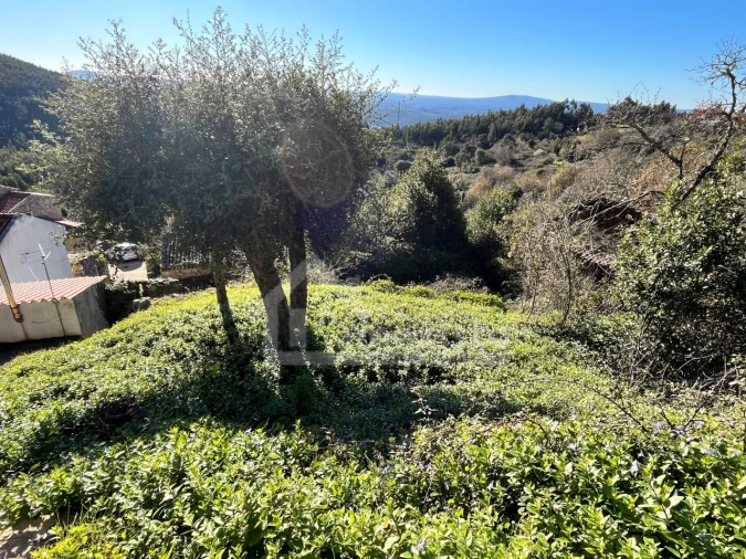 Moradia T2 para Venda em Cumeeira Foto 15