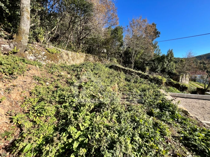 Moradia T2 para Venda em Cumeeira Foto 21