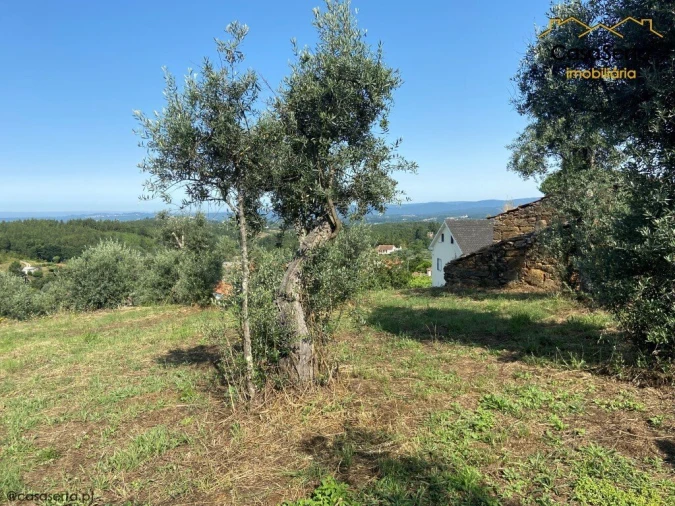 Quinta T4 para Venda em Pedrogão Pequeno Foto 5