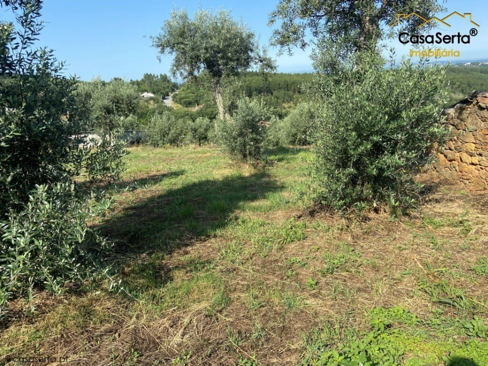 Quinta T4 para Venda em Pedrogão Pequeno Foto 4