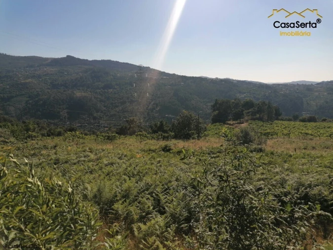 Moradia T3 para Venda em Oliveira do Douro Foto 5