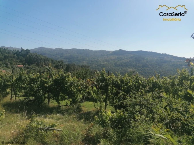 Moradia T3 para Venda em Oliveira do Douro Foto 4