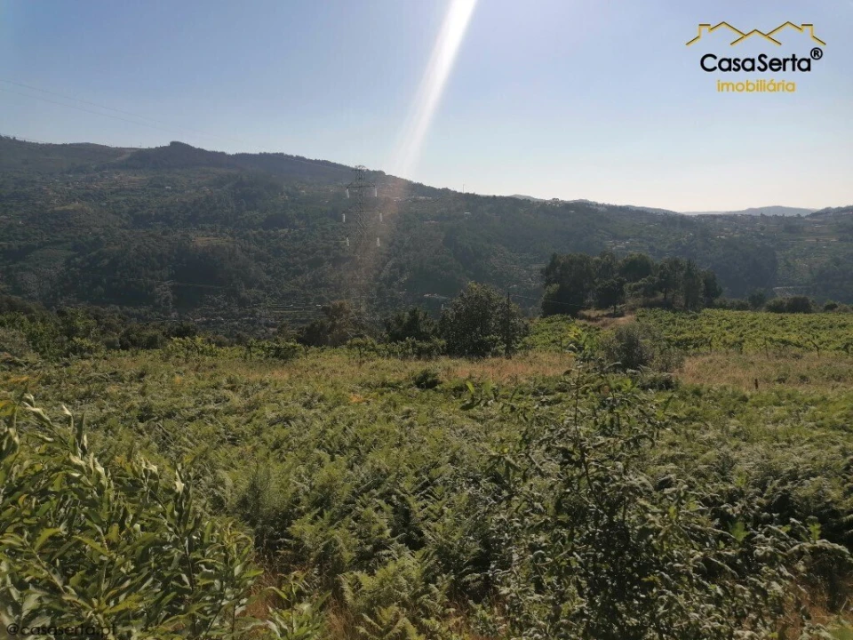 Moradia T3 para Venda em Oliveira do Douro Foto 5