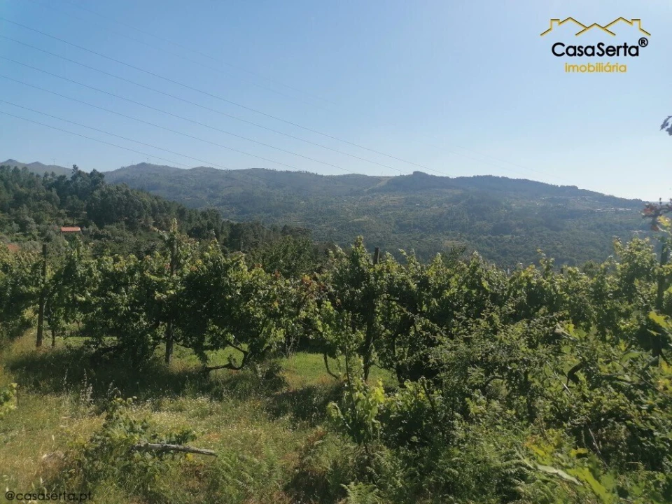 Moradia T3 para Venda em Oliveira do Douro Foto 4