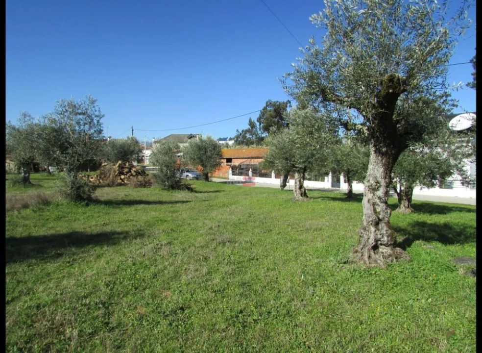 Terreno Misto para Venda em Alburitel Foto 2