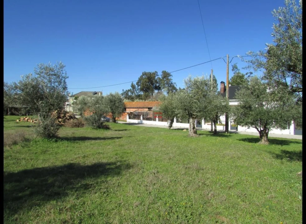 Terreno Misto para Venda em Alburitel Foto 3