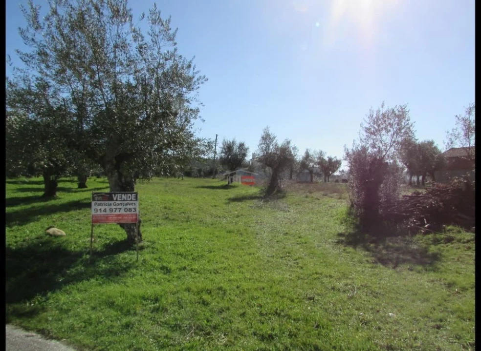 Terreno Misto para Venda em Alburitel Foto 4