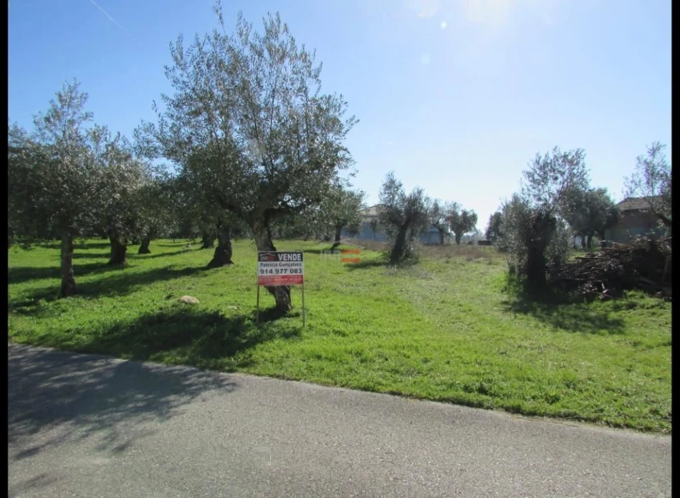 Terreno Misto para Venda em Alburitel Foto 5