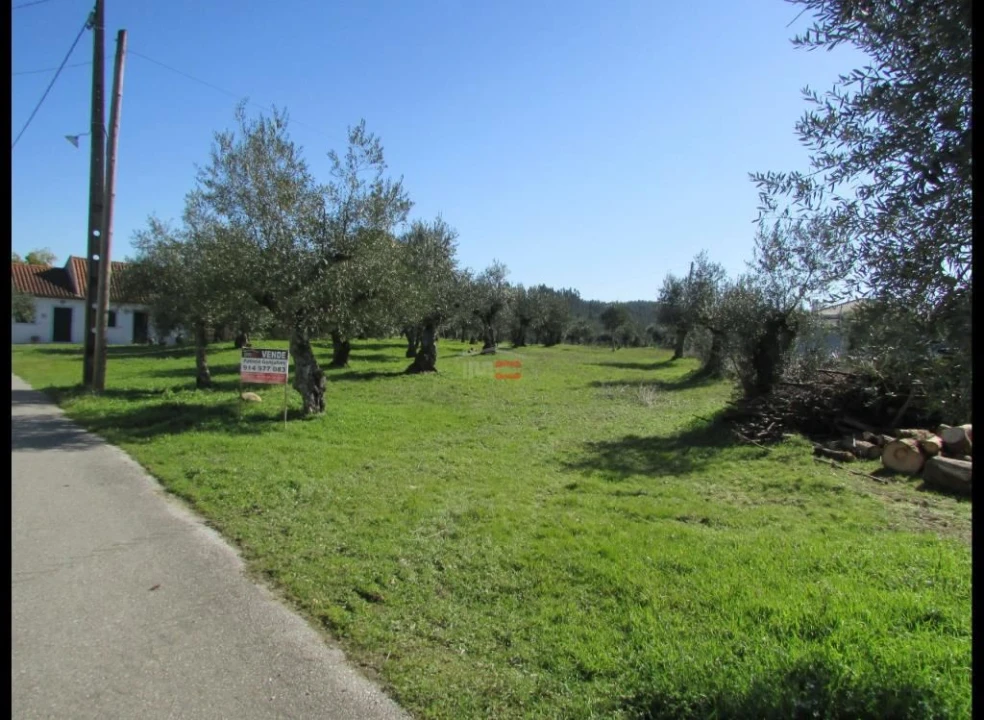 Terreno Misto para Venda em Alburitel Foto 6