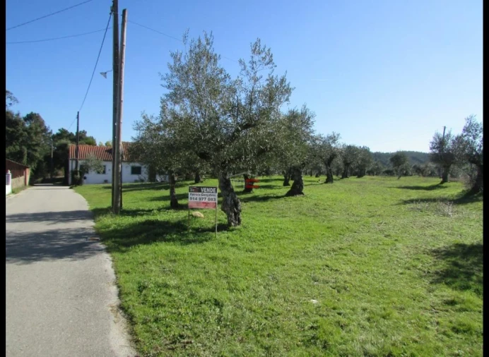 Terreno Misto para Venda em Alburitel Foto 1