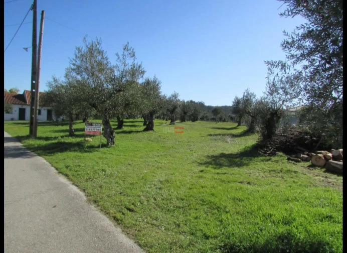 Terreno Misto para Venda em Alburitel Foto 6